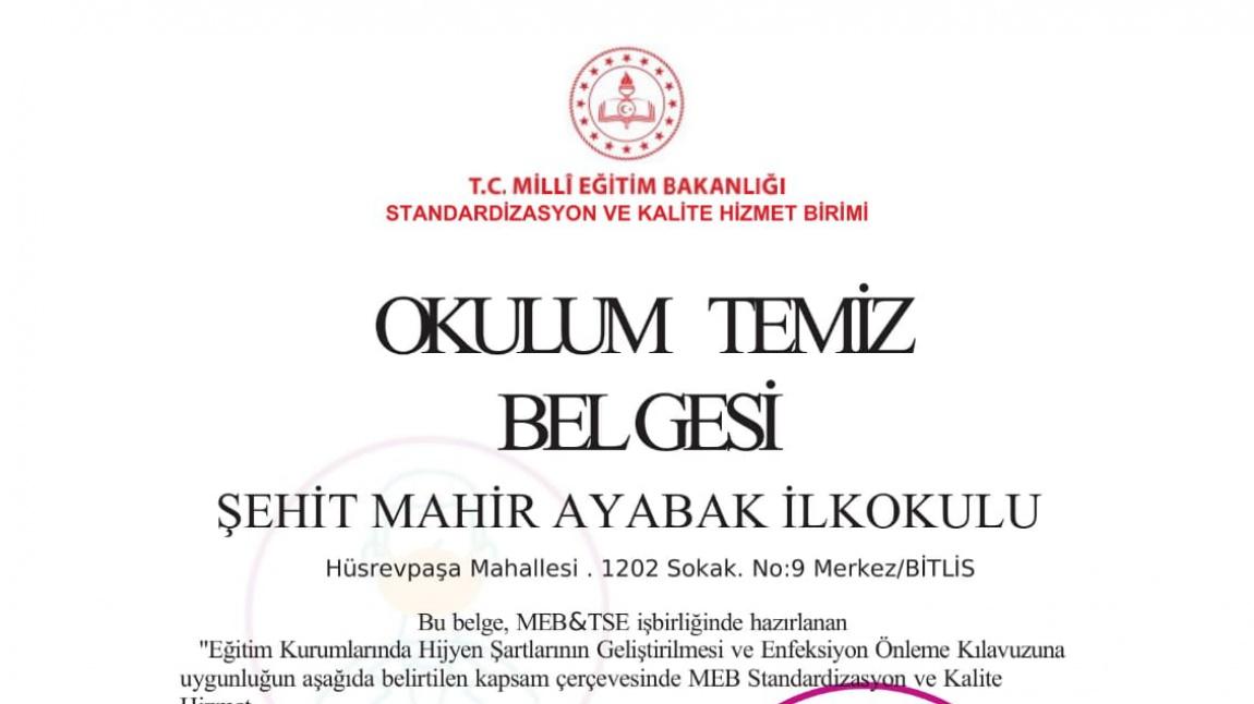 Bitlis'in İlk 